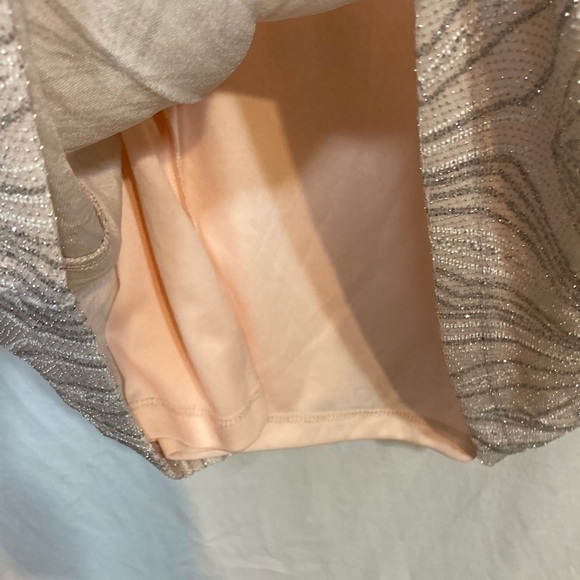 JH EVENINGS FORMAL LIGHT PEACH / PINKISH WITH SILVER METALIC DRESS SIZE 16 NWT - Picture 4 of 15